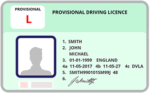 provisional driving licence