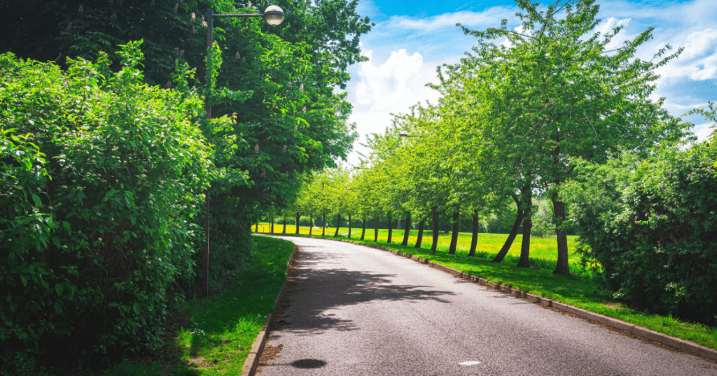 driving in spring