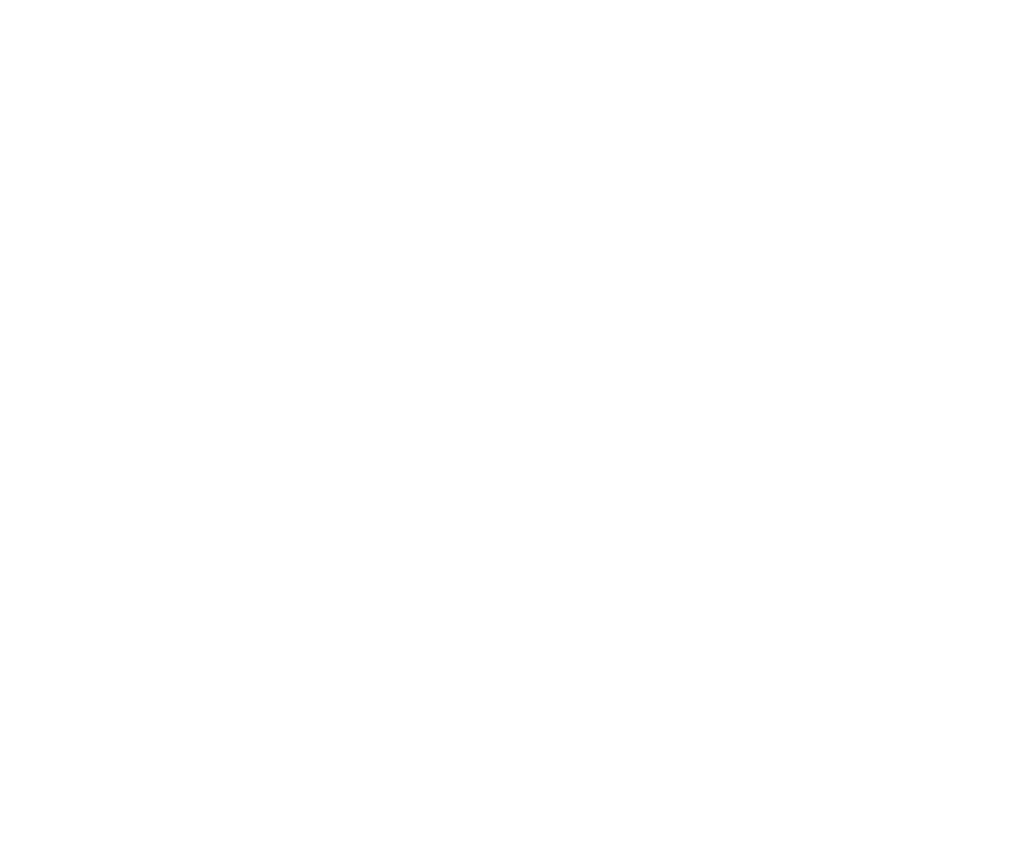 Twitter White Logo