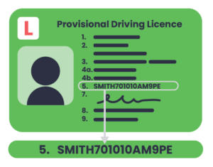 Provisional Driving Licence