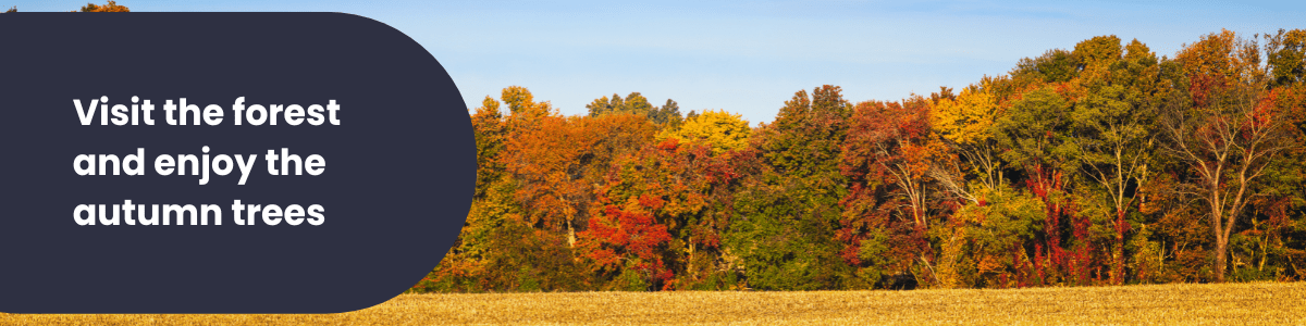 learning to drive in autumn