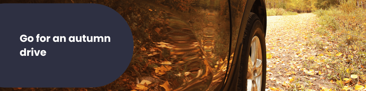 practice driving in autumn
