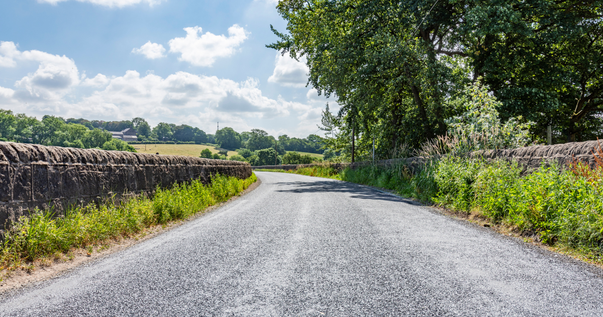 open lane surrounded by fields